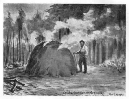 charbonnier en forêt